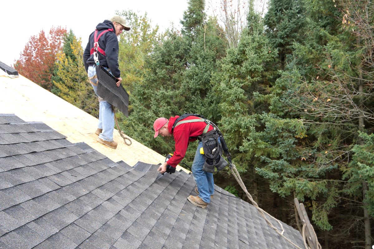Two men are on a roof, one climbing a ladder while the other works on the roof's surface.